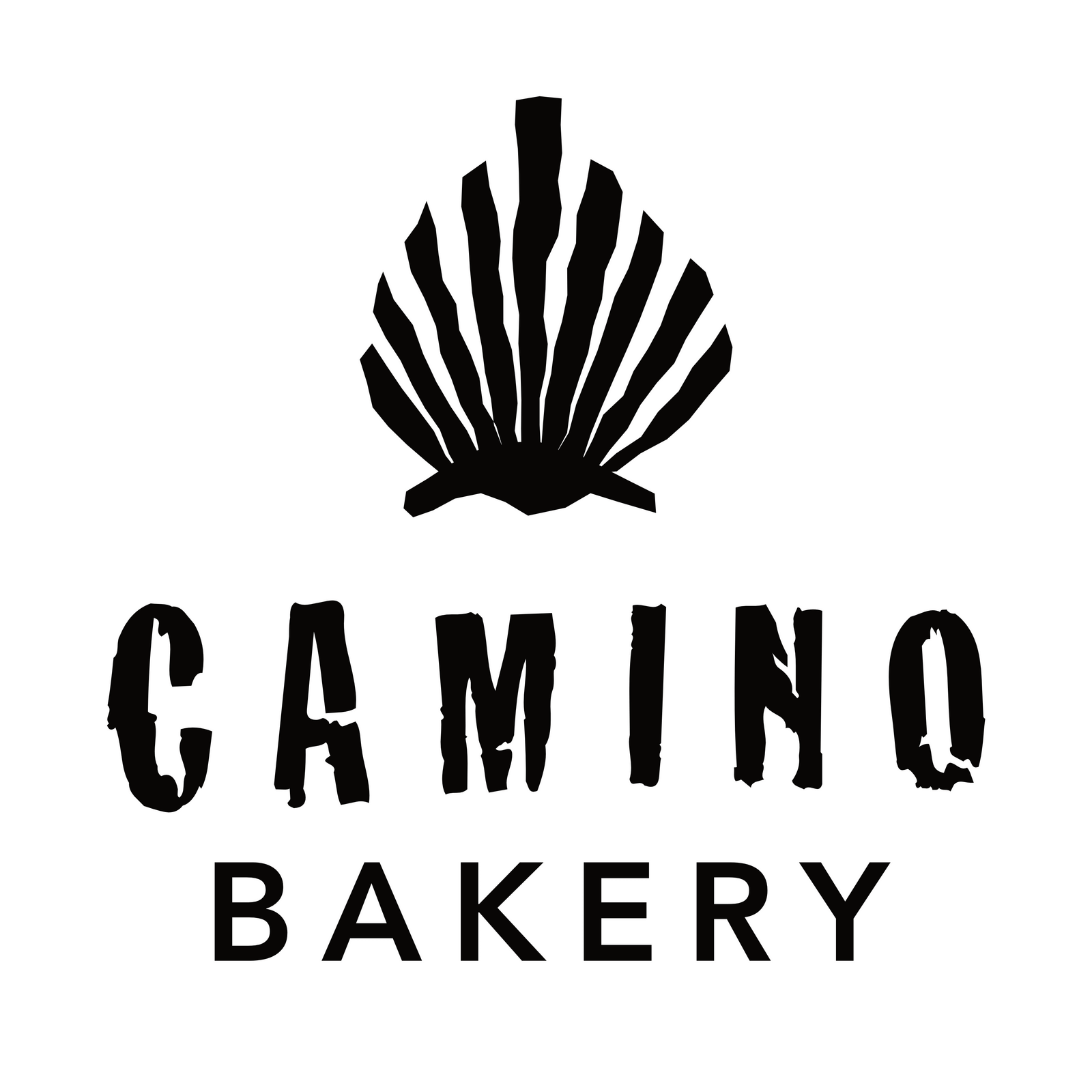 Camino